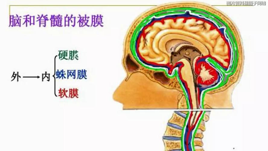 男子沉迷网游被"爆头" 去医院被诊:蛛网膜下腔出血