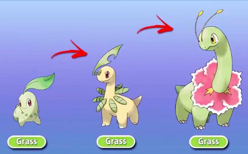精灵宝可梦:当御三家也有伽勒尔地区形态,菊草叶加入妖精属性