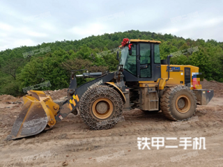 二手徐工lw500hv