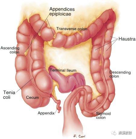 结肠炎性病变的ct评估
