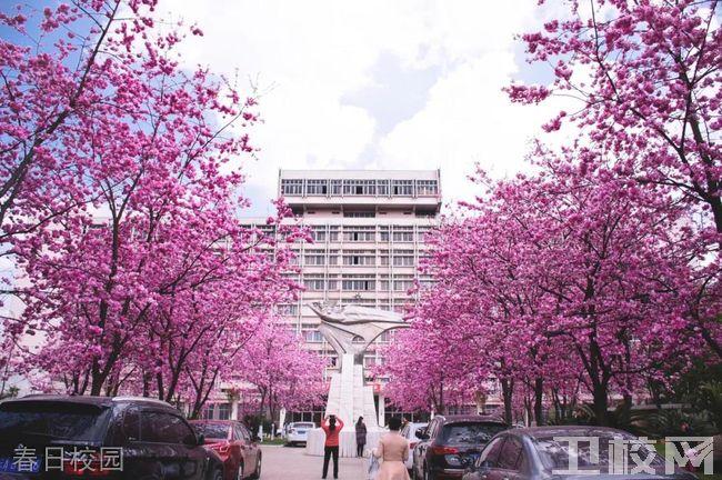 昆明理工大学医学院寝室图片,校园环境好吗?