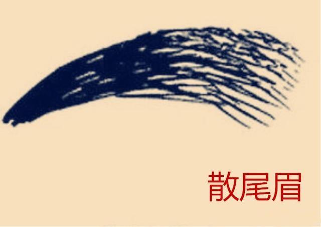 面相:眉散兰台廷尉破,财星耗损三不聚!