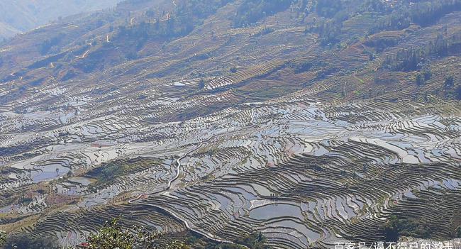 撒玛坝梯田