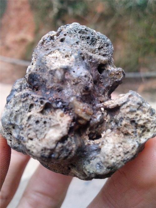 陨石:来自星星的宝物