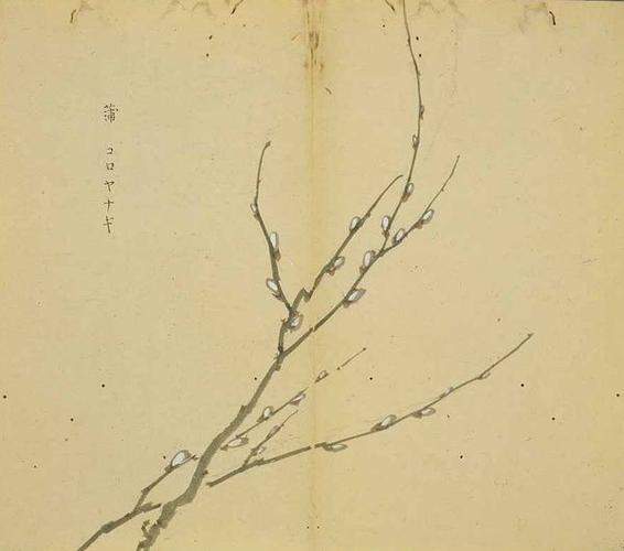 扬之水,不流束楚.彼其之子,不与我戍甫.怀哉怀哉,曷月予还归哉