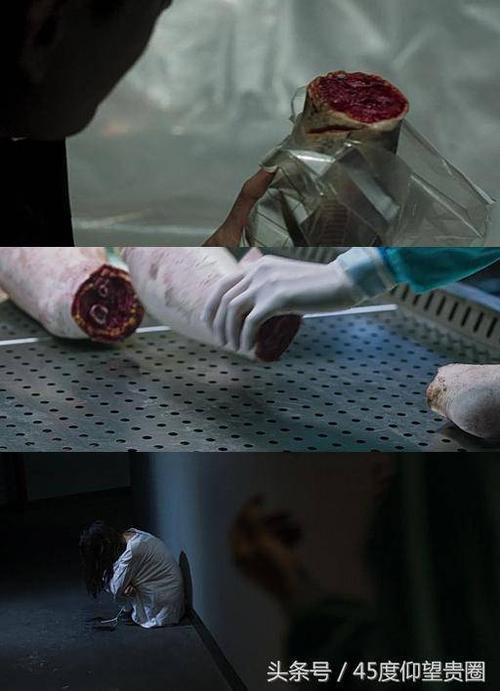 找到死者头颅,进行尸检.