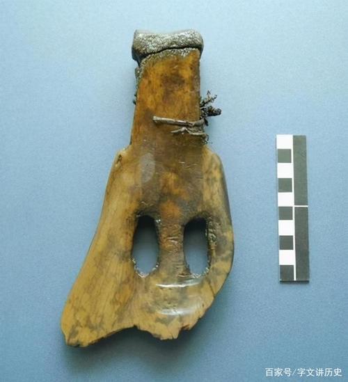 河姆渡原始居民已经学会种植水稻 会制造使用农业生产工具,有骨耜,石