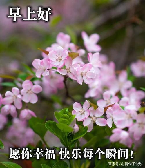 漂亮的春天早安祝福文字图片 最美的早晨好问候图片