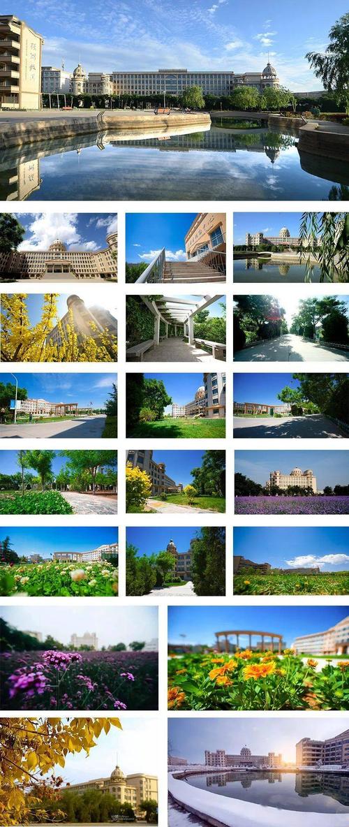 兰州外语职业学院2020年高职专科批p段于9月9日2000征集志愿