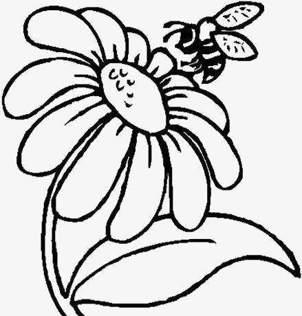 采蜜的蜂蜜简笔画