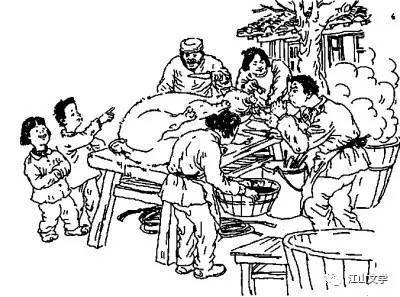 东北杀年猪简笔画