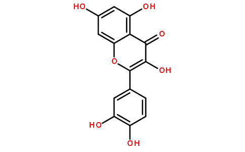 槲皮素对人食管癌eca-109细胞的分化诱导作用
