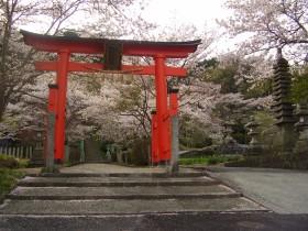 神社图片大全共29张