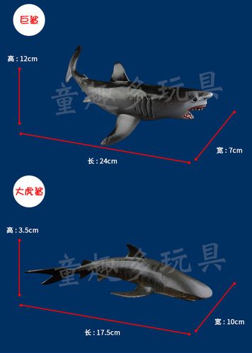 仿真海洋动物模型海底生物玩具鲨鱼大白鲨蓝鲨巨齿鲨鲸鲨蓝鲸虎鲸_5折