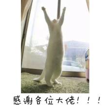感谢各位大佬