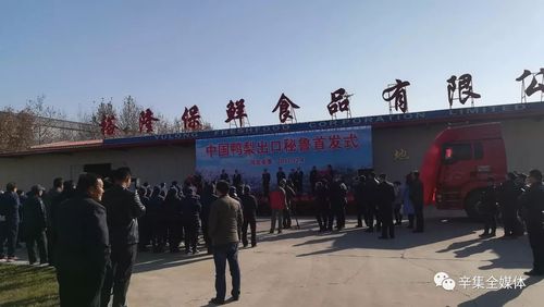 出口秘鲁的仪式结束后,辛集市市委书记邸义同志以及辛集市领导范玉柱