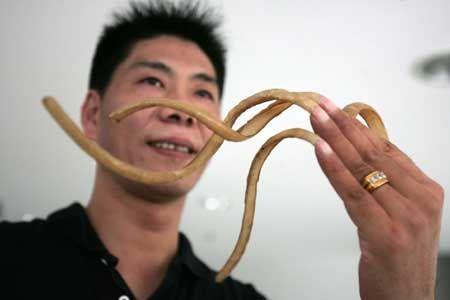 "我想一直留下去,冲击吉尼斯世界纪录.