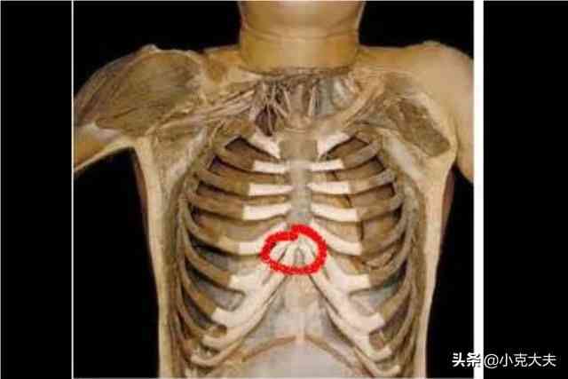 其实这也不算心的位置,因为心脏较心口部位高一点偏左侧一点,而心口窝