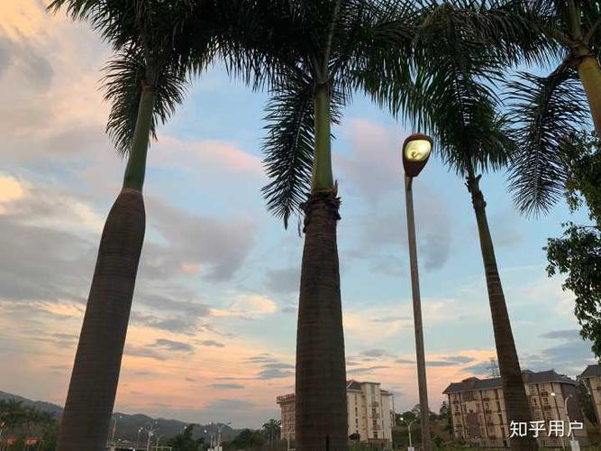 在云南农业大学热带作物学院新校区(倚象校区)读书/生活是种怎样的