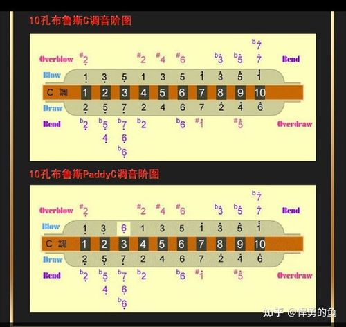半音阶口琴