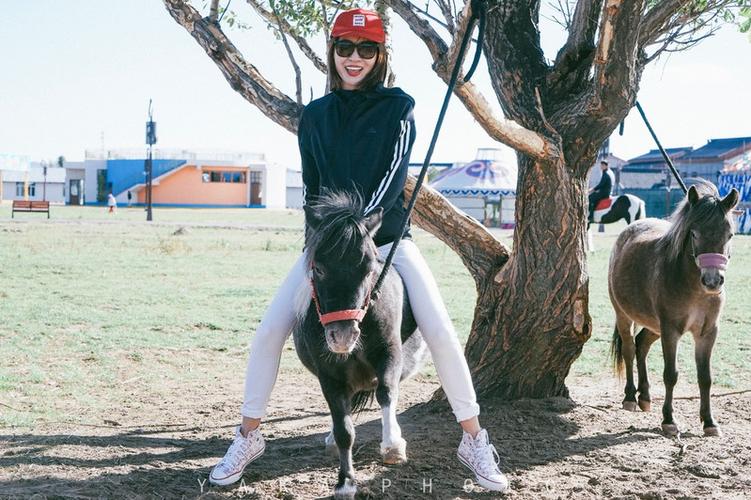 不同的是,小马只供游客拍照用,只限于体重