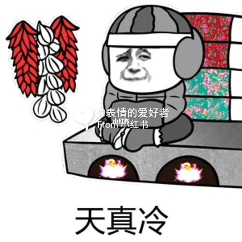 冷的表情都说不出话啦._表情包_相册_素材_表情包