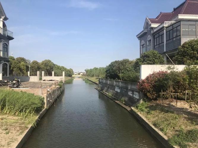 在罗泾塘湾迎接莫奈的《日出》——宝山市民"美育大课堂"正式开课!