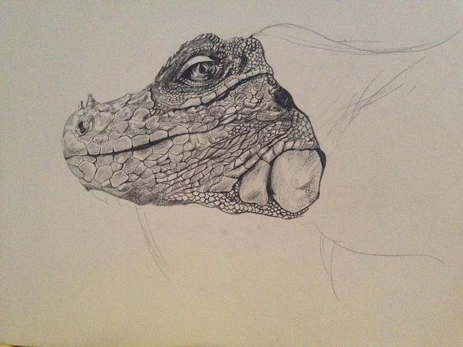 喜欢画的小蜥蜴|纯艺术|绘画|哦吼吼吼吼啊 - 原创