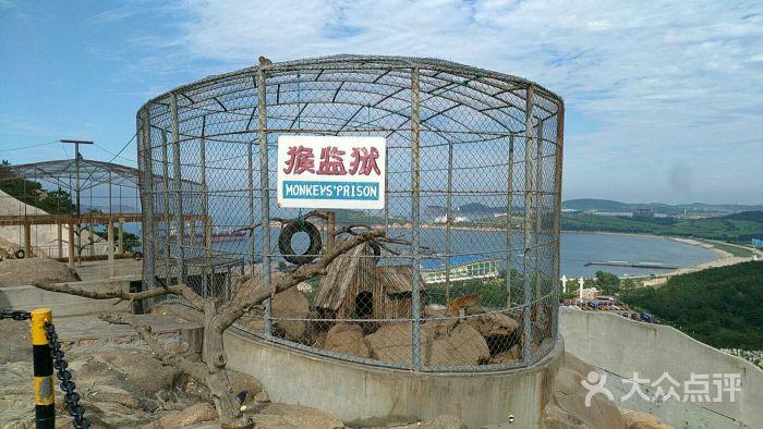 西霞口神雕野生动物园是很不错的动物园,依山