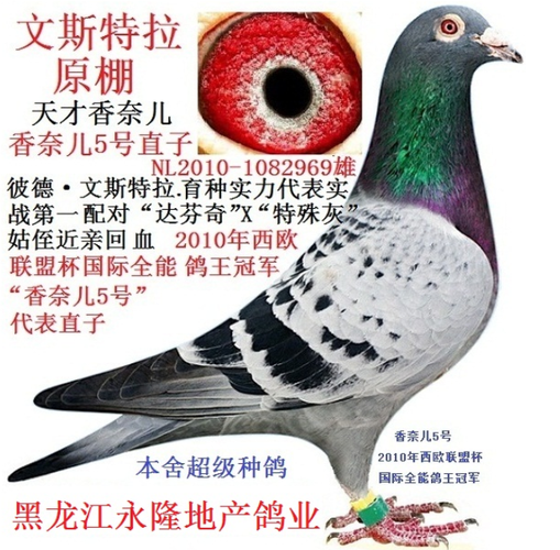 文斯特拉.香奈儿5号直子