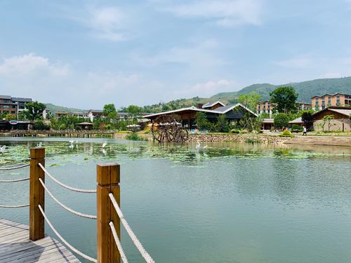 5.19.拍摄于大荆下山头村