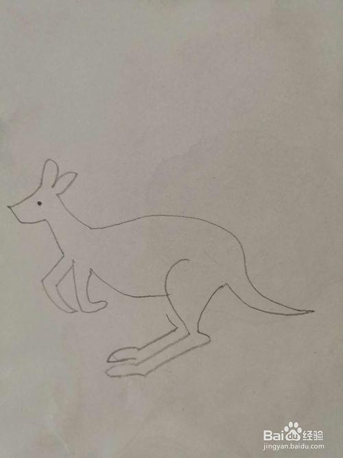 袋鼠简笔画画法袋鼠简笔画图片大全儿童袋鼠简笔画图片袋鼠怎么画简单