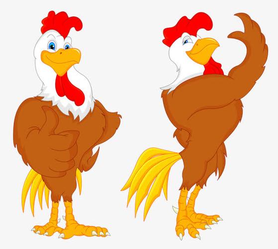 动物,公鸡,大尾巴,棕色