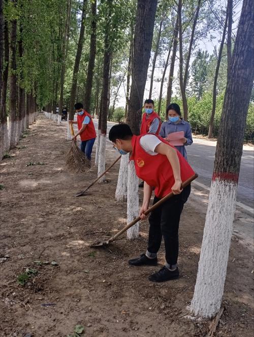河南:驻马店开展"美丽乡村·青春行动"大学生志愿服务