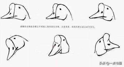图文教程——鹅的写意画法