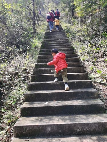 湖南长沙县大冲山森林公园游记#爬山_爬山_游记_森林_秋天去哪玩_岳麓