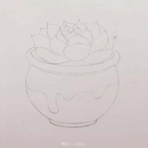 彩铅教程 | 零基础也能学会的多肉植物教程,一学就会!
