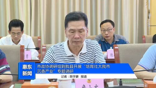 市政协,沉香,惠东,詹小东,杨伟斌