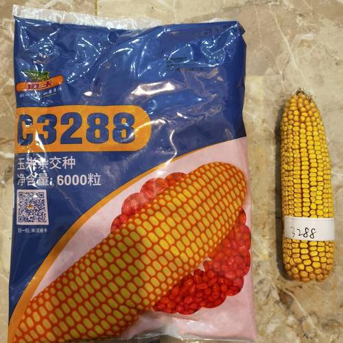 迪卡3288玉米种子简介,迪卡c3288玉米简介 查看源网页