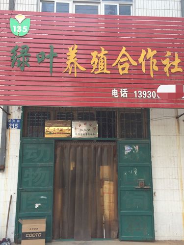 绿叶养殖合作社