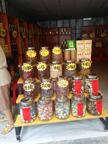 佛山江门阳江三城联动