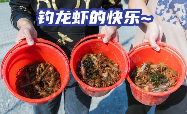 钓龙虾啦!内江藏着这些钓虾秘密基地,一个下午能满载而归!