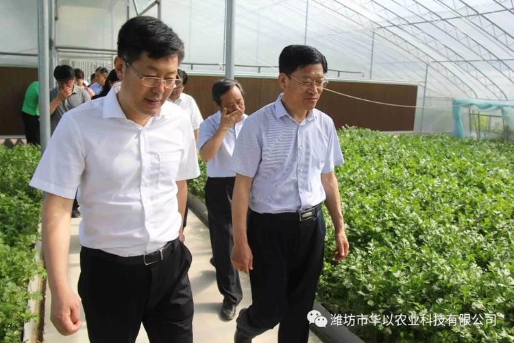 高密市长一行莅临华以农业参观考察