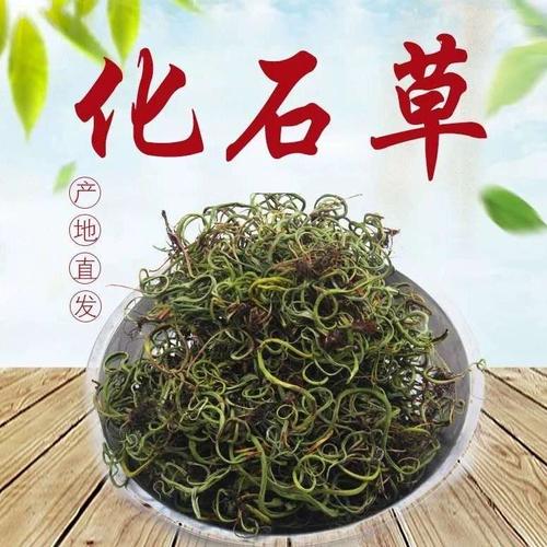 化石野生老挝结石中草药溶石肾精养生茶排250g其他药食同源食品