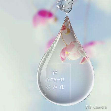 闺蜜头像,带花,芹,佳,三个字的