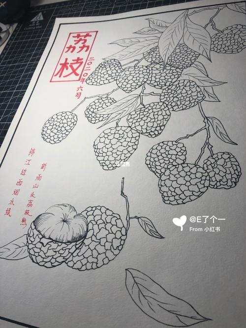 儿童线描画——荔枝_荔枝_儿童画_上色_绘画_文化_绘画