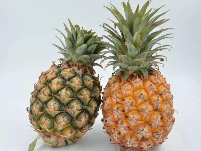 4个小技巧教会分辨,还有凤梨能