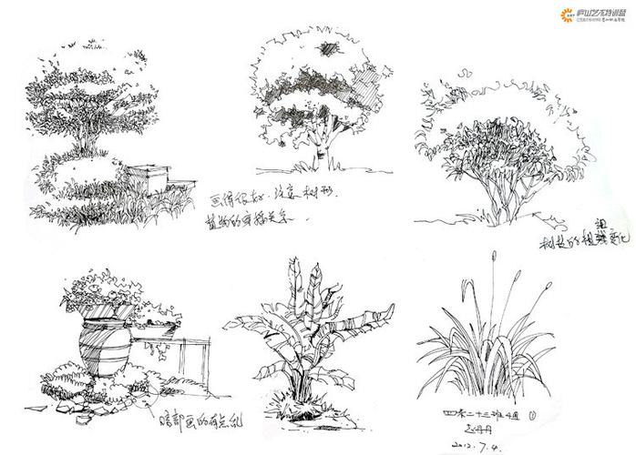【转载】单体线稿-精品推荐 - 毕加索少儿大师show的
