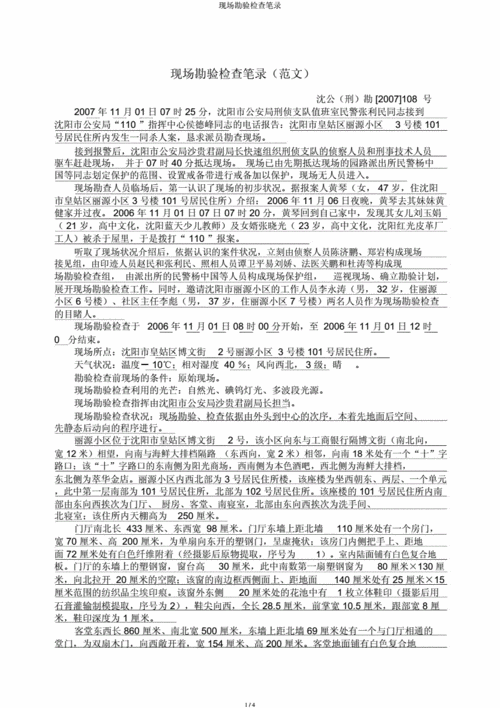 现场勘验检查笔录.docx 4页