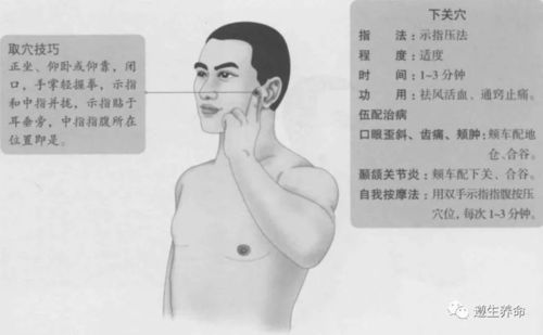 下关的准确位置图,下关穴的功效与作用